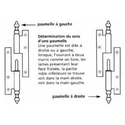 Paumelle Bouts Ronds - Dimensions : 110 X 55 - Sens : Droite - ITAR -Fispool Magasin 13756751 5