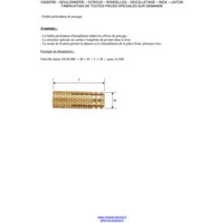 Cheville Laiton 12X34 M10 Conditionnement: 10 Pieces -Fispool Magasin 26981555 3