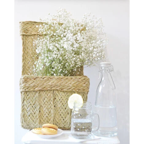 Porte-revues Sparte Pequeño 4 Porte-revues Sparte Pequeño – Image 2