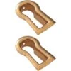 2x Entrée De Clé Laiton Doré Or à Encastrer Clef Vintage Rustique Meuble Ancien