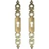 2x Entrée De Clé Régence Laiton Vieilli Serrure Meuble Ancien Décoration Rustique Vintage Clef Antique -Fispool Magasin 60612364 1
