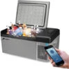 Mini Réfrigérateur Portable Frigo Voiture 15L Pour Voiture + APP 12-24V 110-240V -20-20 Degré 57x32x26cm -Fispool Magasin 71627070 1