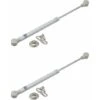 2x Vérin à Gaz Automatique Gris Argent Meuble Hydraulique Ressort Amortisseur Porte Bras Charnière, 245mm 30N